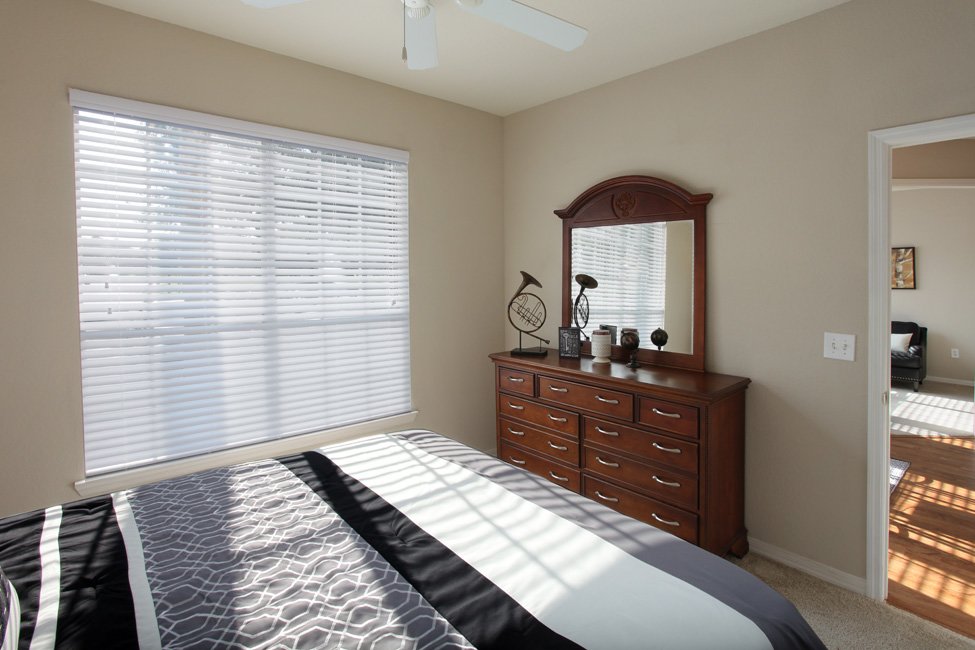 Westwood Reserve Citrus Park Apartments For Rent In